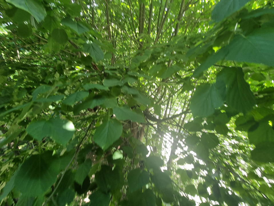 Vanzare apartament 2 camere in zona Centrala-Hale