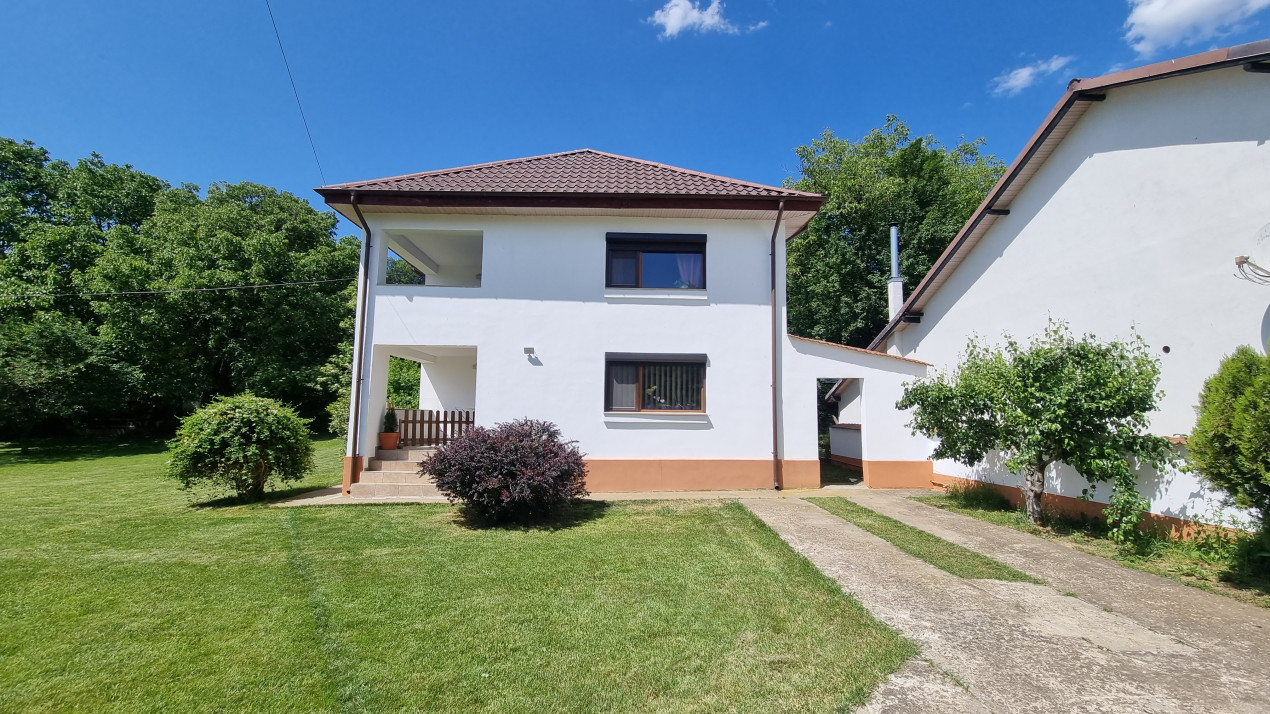 Vanzare casa-vila cu 5 camere si teren 3700 mp in Plopu-Bucov