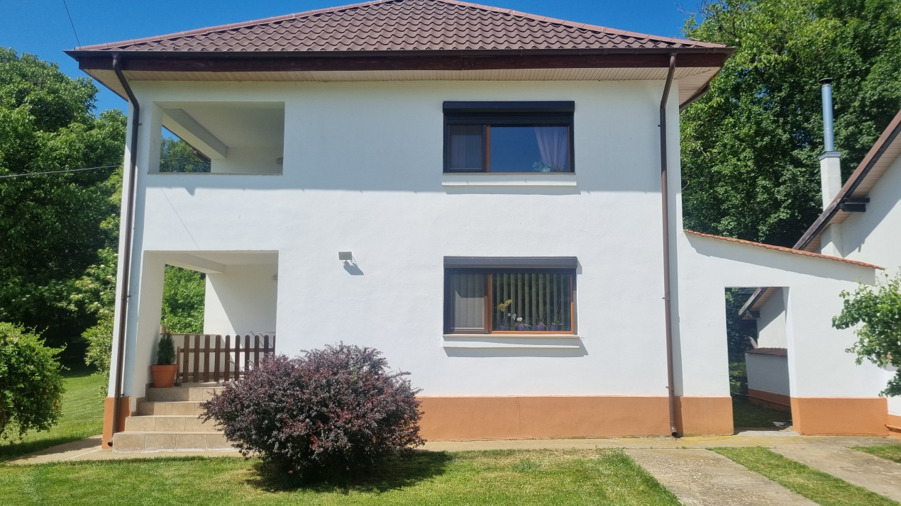 Vanzare casa-vila cu 5 camere si teren 3700 mp in Plopu-Bucov