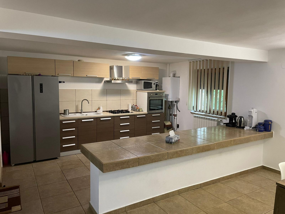 Vanzare casa-vila cu 5 camere si teren 3700 mp in Plopu-Bucov