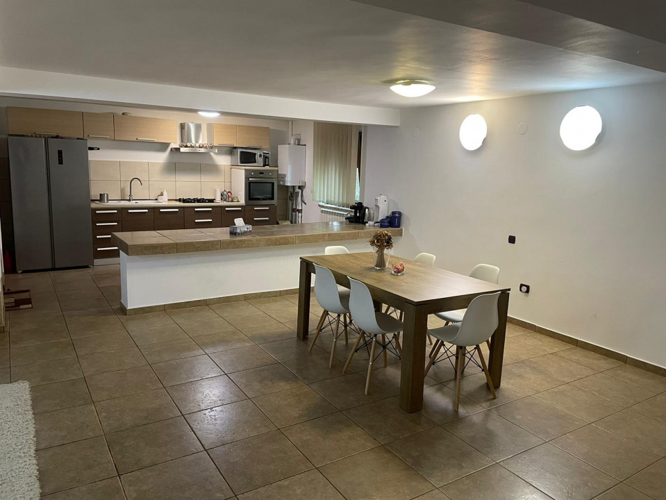 Vanzare casa-vila cu 5 camere si teren 3700 mp in Plopu-Bucov