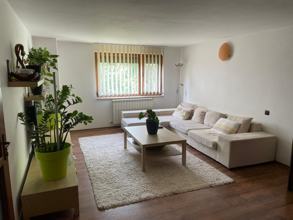 Vanzare casa-vila cu 5 camere si teren 3700 mp in Plopu-Bucov