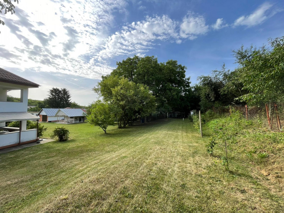 Vanzare casa-vila cu 5 camere si teren 3700 mp in Plopu-Bucov