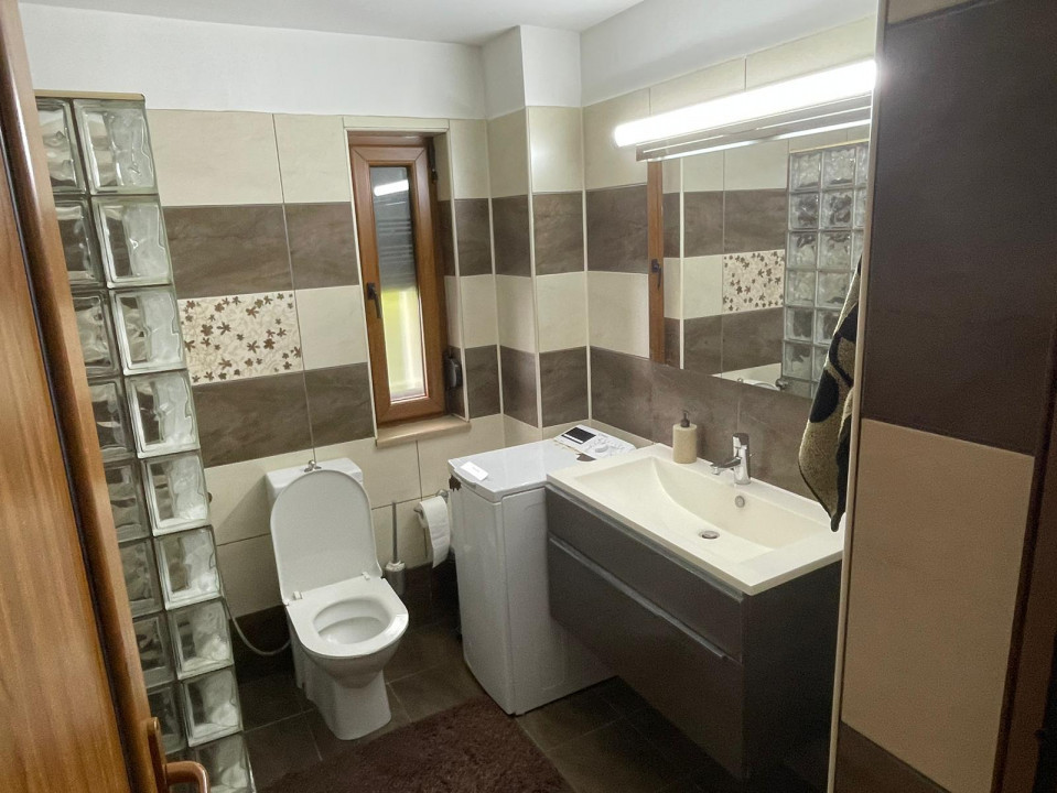 Vanzare casa-vila cu 5 camere si teren 3700 mp in Plopu-Bucov