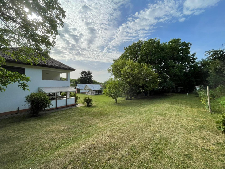 Vanzare casa-vila cu 5 camere si teren 3700 mp in Plopu-Bucov