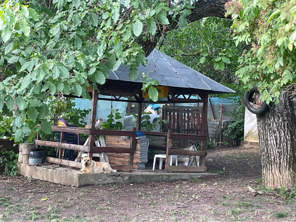 Vanzare casa-vila cu 5 camere si teren 3700 mp in Plopu-Bucov