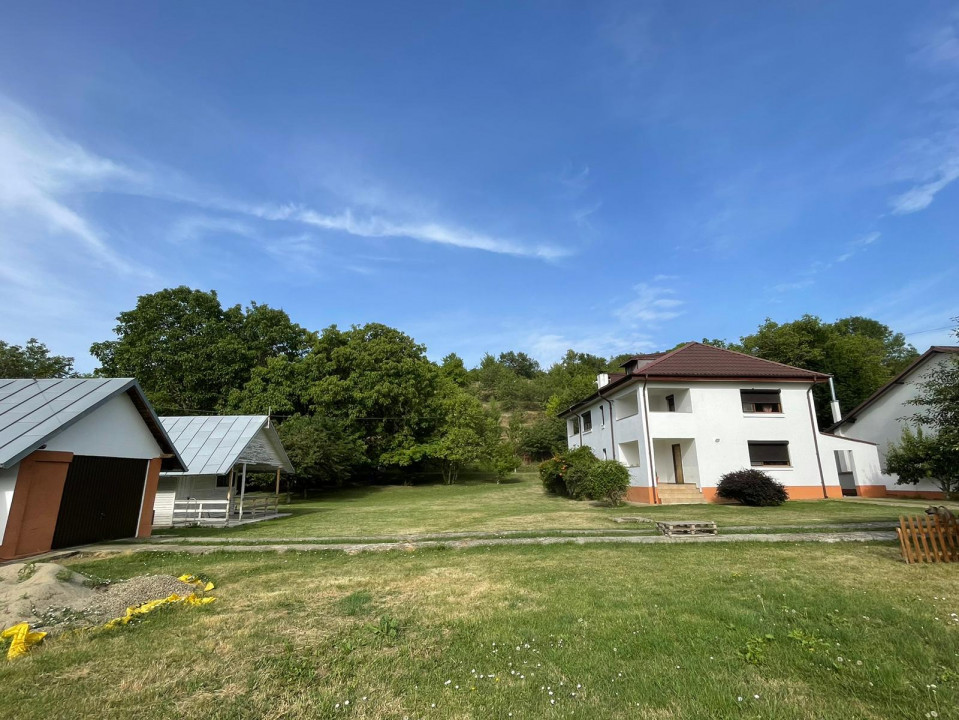Vanzare casa-vila cu 5 camere si teren 3700 mp in Plopu-Bucov