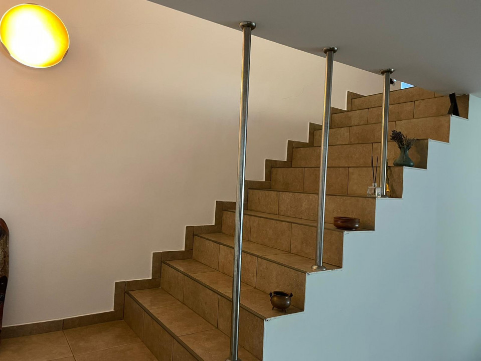 Vanzare casa-vila cu 5 camere si teren 3700 mp in Plopu-Bucov