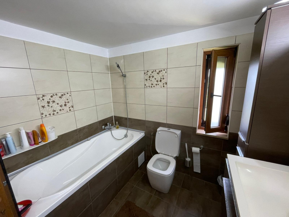 Vanzare casa-vila cu 5 camere si teren 3700 mp in Plopu-Bucov