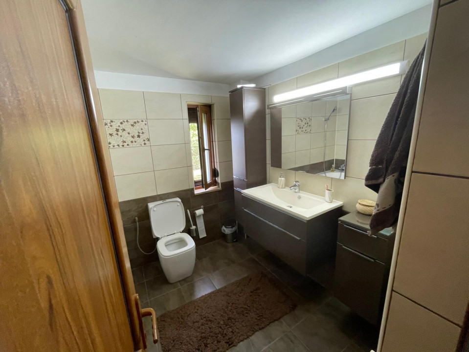 Vanzare casa-vila cu 5 camere si teren 3700 mp in Plopu-Bucov