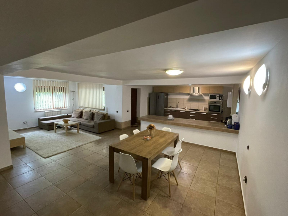 Vanzare casa-vila cu 5 camere si teren 3700 mp in Plopu-Bucov