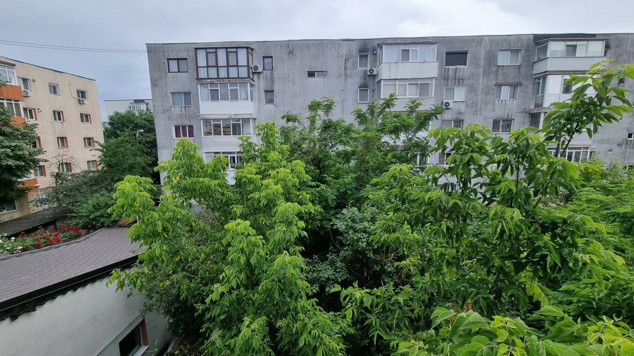 Inchiriere apartament 2 camere modern in zona Malu Rosu