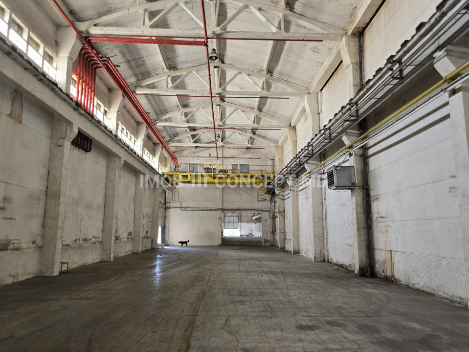 Inchiriere  Hala industriala 2500 mp, birouri 400 mp, teren 6477mp zona Xenia 
