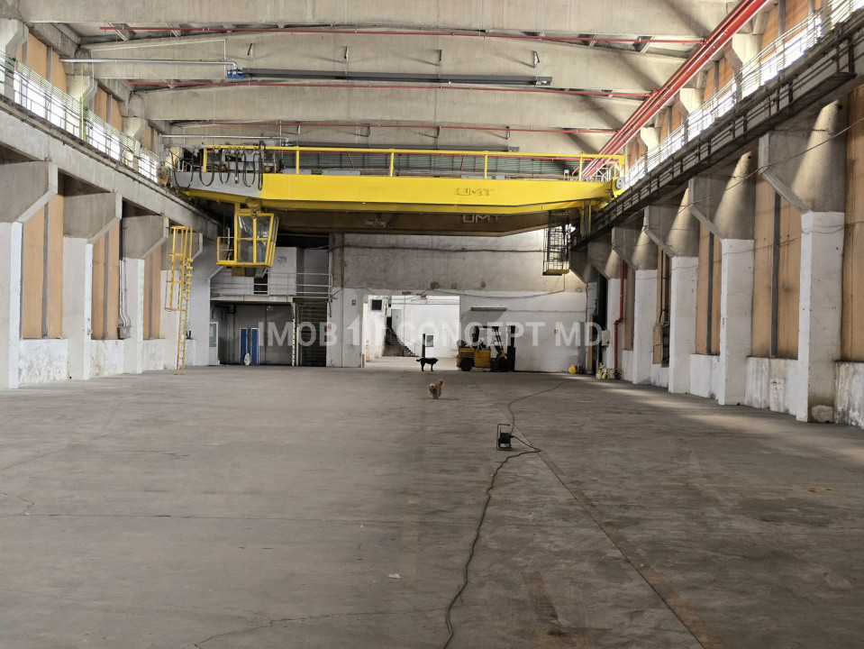 Inchiriere  Hala industriala 2500 mp, birouri 400 mp, teren 6477mp zona Xenia 