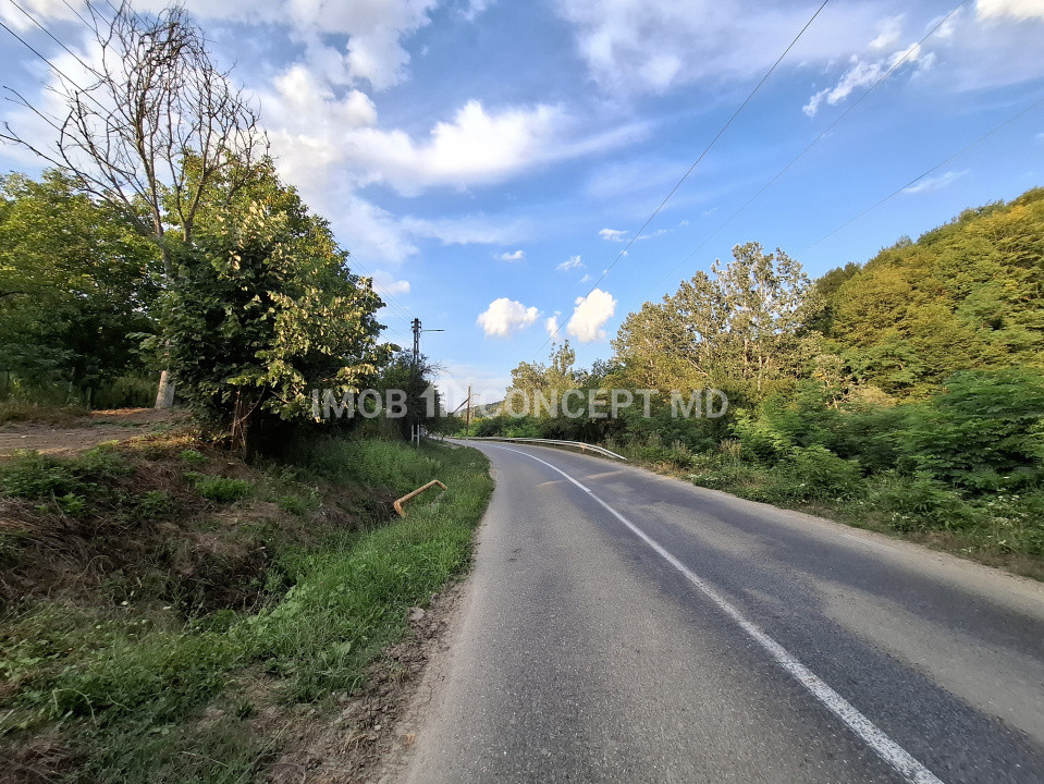 Teren spectaculos cu padure, livada si priveliste panoramica in Soimari PH