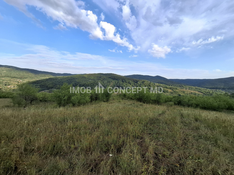 Teren spectaculos cu padure, livada si priveliste panoramica in Soimari PH