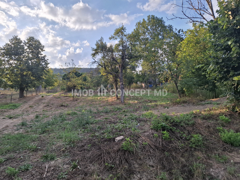 Teren spectaculos cu padure, livada si priveliste panoramica in Soimari PH