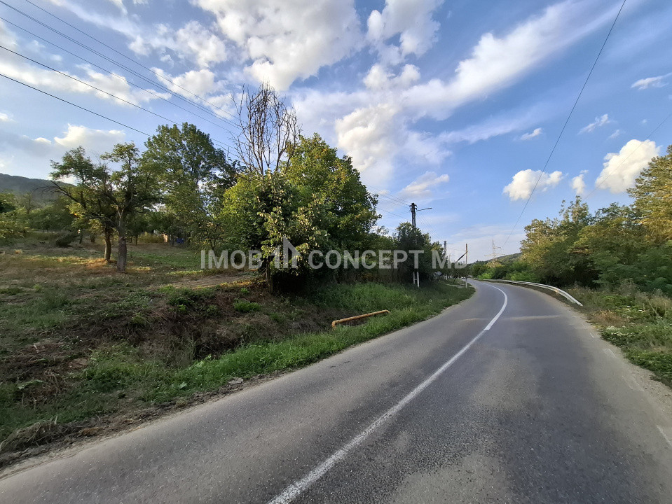 Teren spectaculos cu padure, livada si priveliste panoramica in Soimari PH