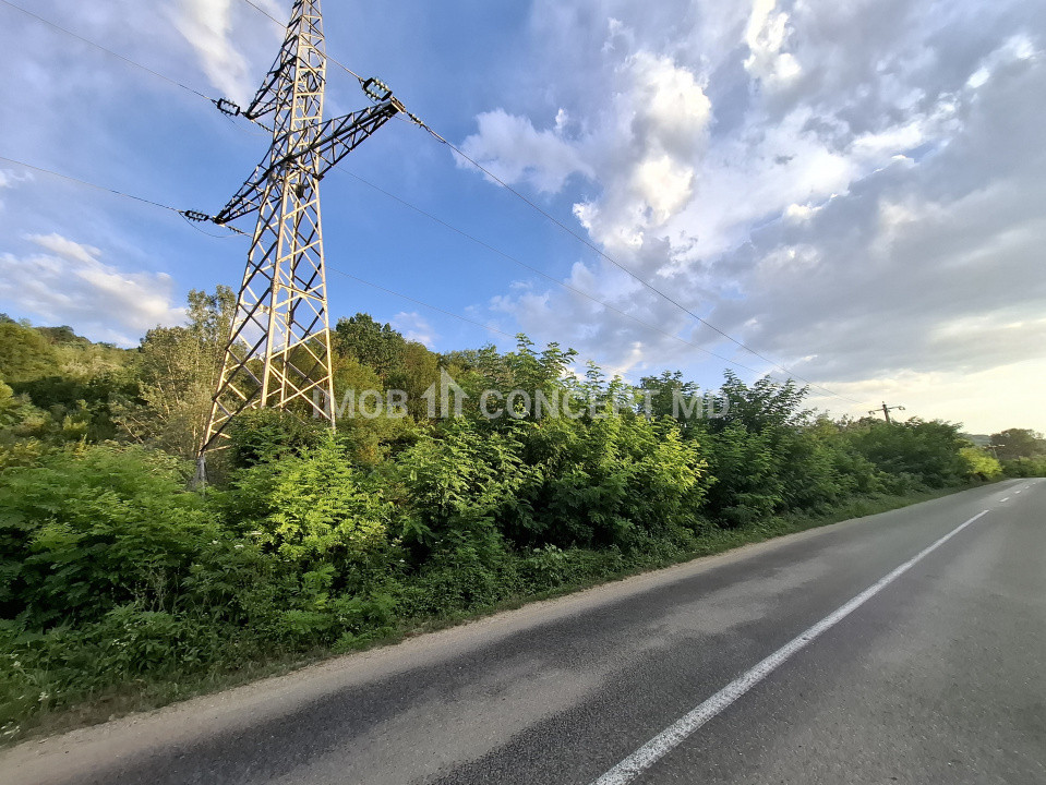 Teren spectaculos cu padure, livada si priveliste panoramica in Soimari PH