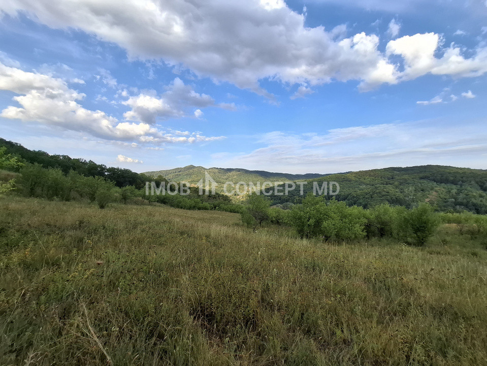 Teren spectaculos cu padure, livada si priveliste panoramica in Soimari PH