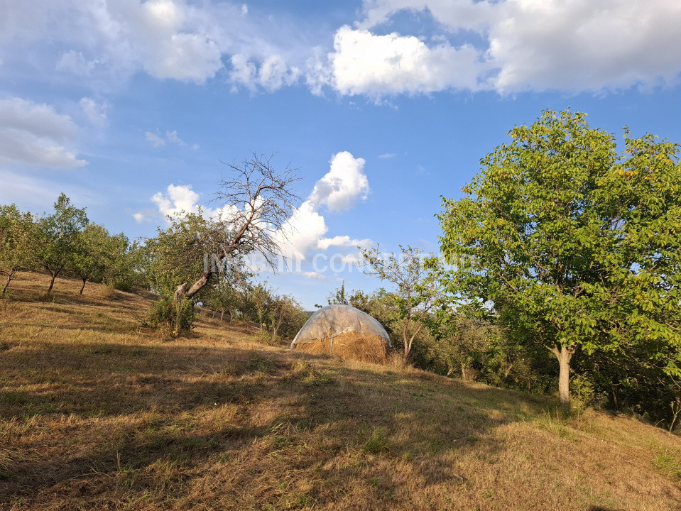 Teren spectaculos cu padure, livada si priveliste panoramica in Soimari PH