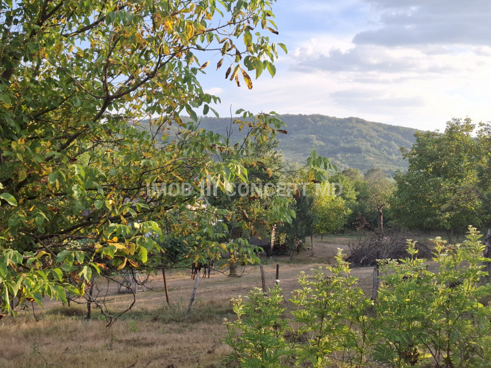 Teren spectaculos cu padure, livada si priveliste panoramica in Soimari PH