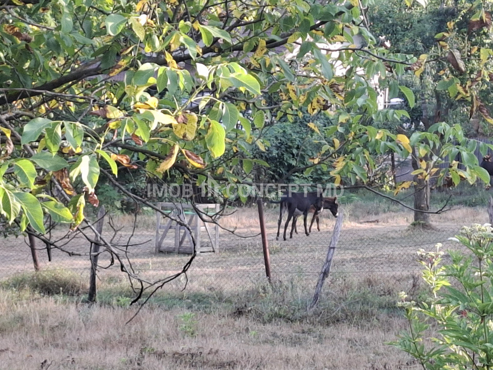 Teren spectaculos cu padure, livada si priveliste panoramica in Soimari PH