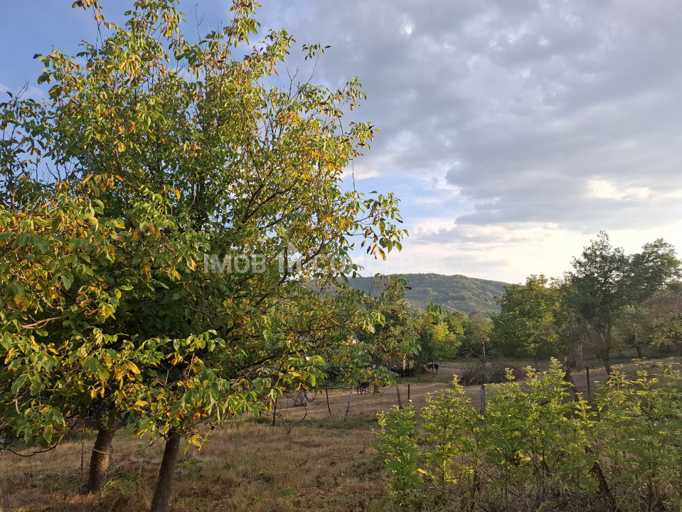 Teren spectaculos cu padure, livada si priveliste panoramica in Soimari PH