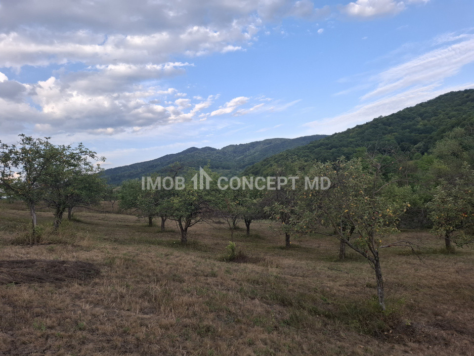Teren spectaculos cu padure, livada si priveliste panoramica in Soimari PH