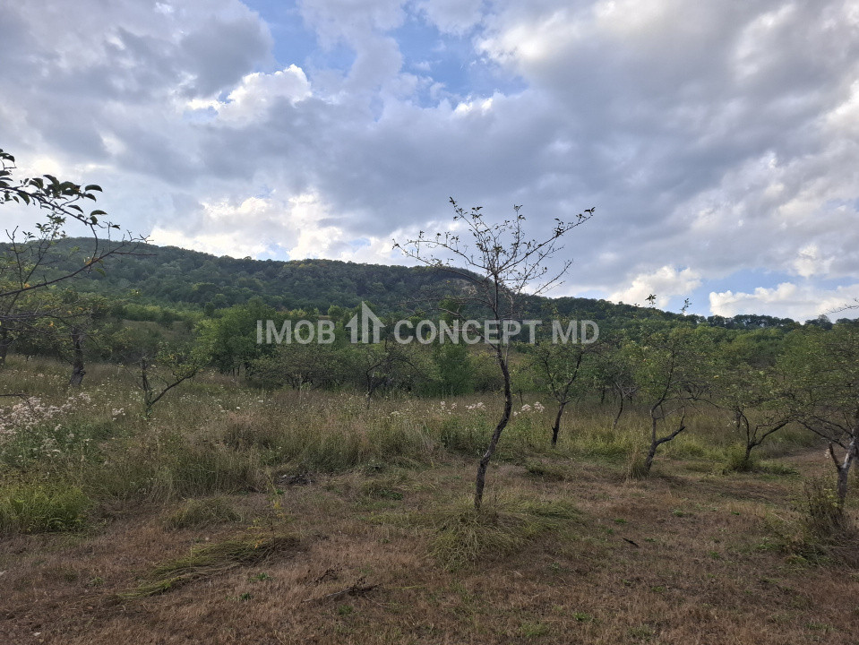Teren spectaculos cu padure, livada si priveliste panoramica in Soimari PH