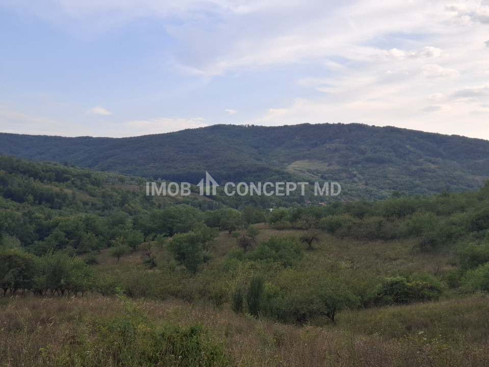Teren spectaculos cu padure, livada si priveliste panoramica in Soimari PH