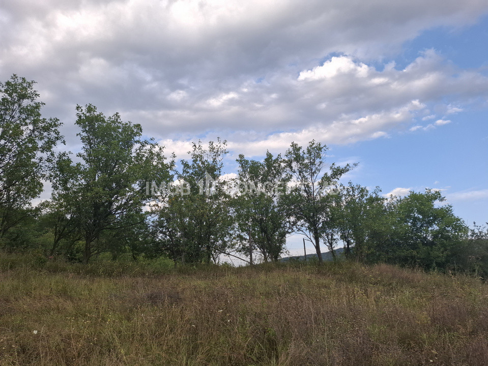 Teren spectaculos cu padure, livada si priveliste panoramica in Soimari PH