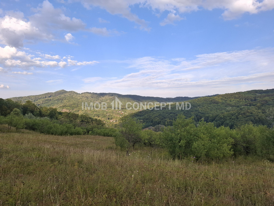 Teren spectaculos cu padure, livada si priveliste panoramica in Soimari PH