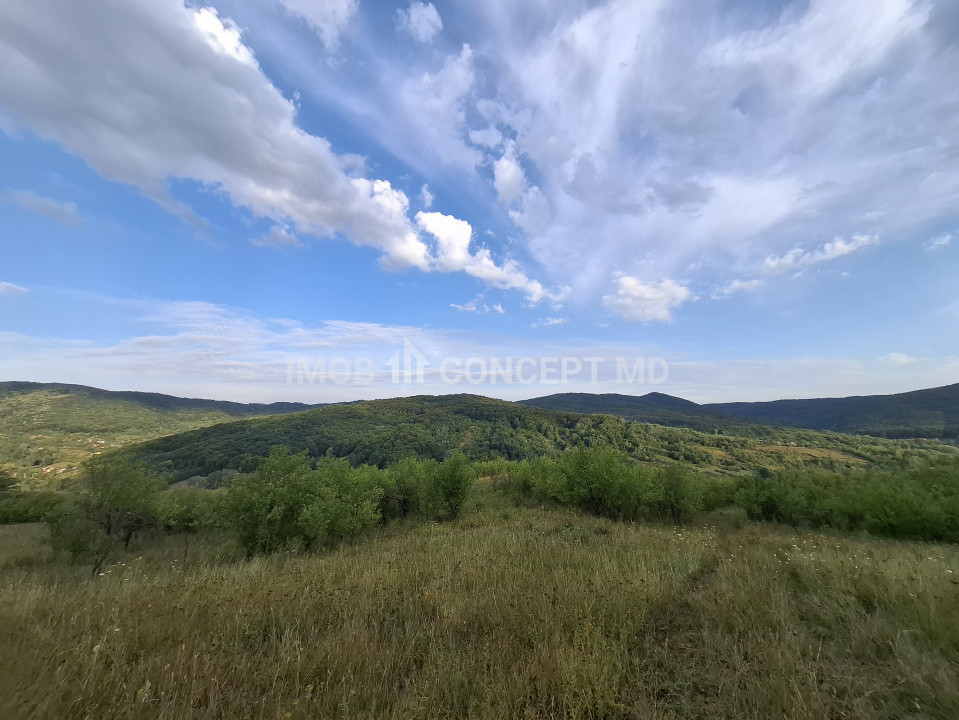 Teren spectaculos cu padure, livada si priveliste panoramica in Soimari PH