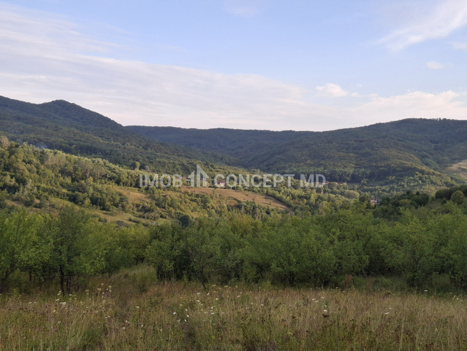 Teren spectaculos cu padure, livada si priveliste panoramica in Soimari PH