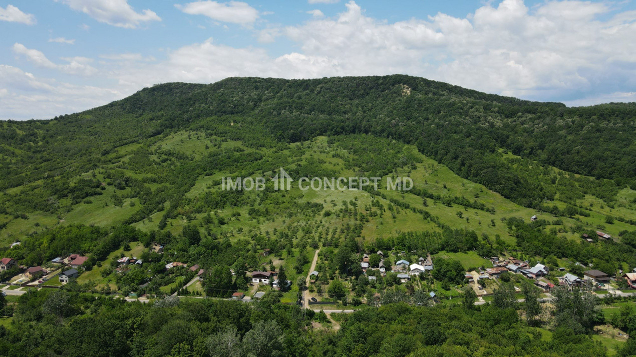 Teren spectaculos cu padure, livada si priveliste panoramica in Soimari PH