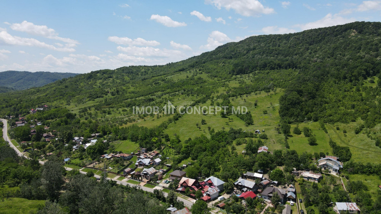 Teren spectaculos cu padure, livada si priveliste panoramica in Soimari PH