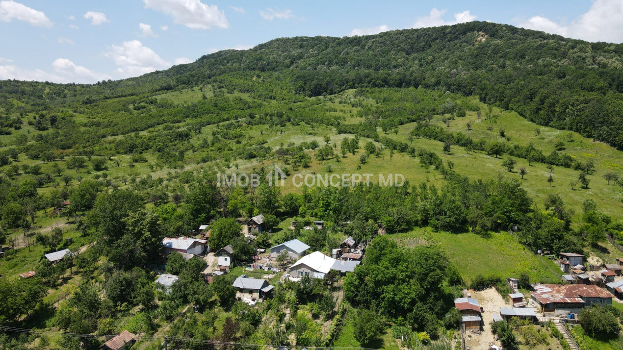 Teren spectaculos cu padure, livada si priveliste panoramica in Soimari PH