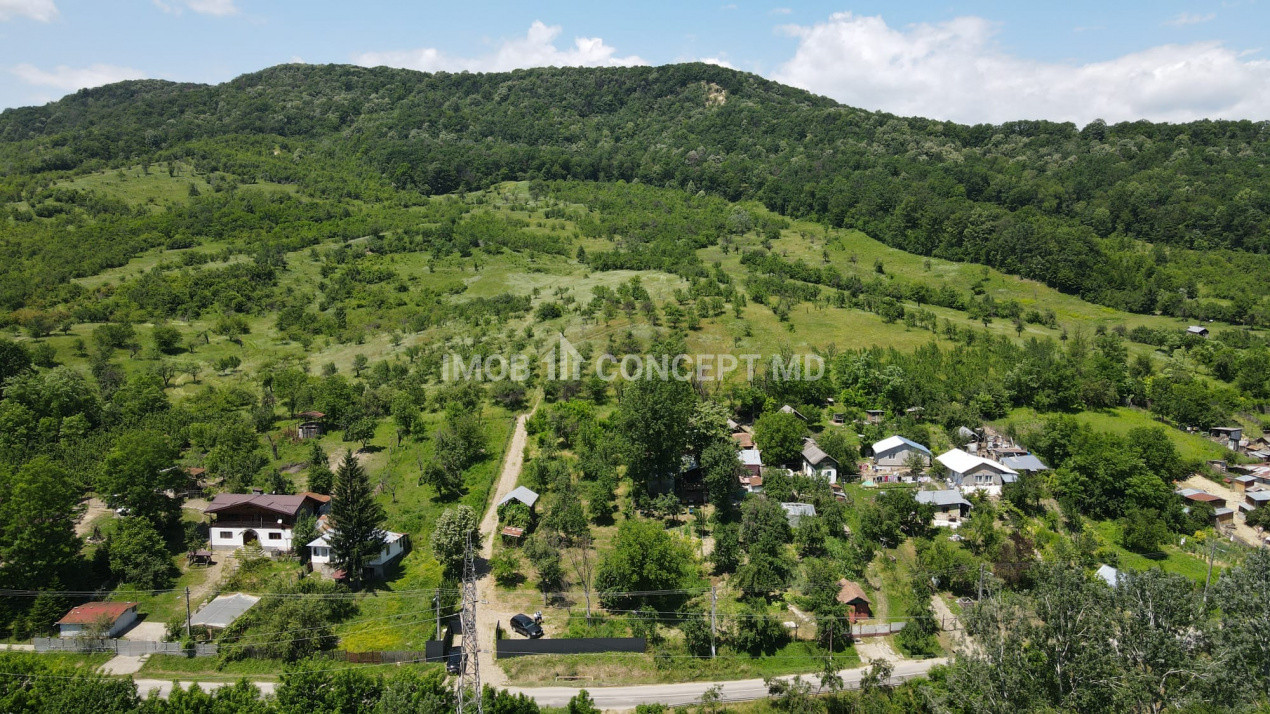Teren spectaculos cu padure, livada si priveliste panoramica in Soimari PH