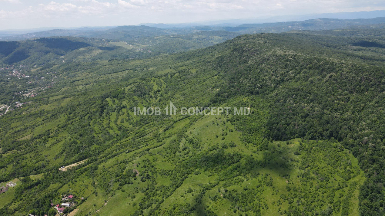 Teren spectaculos cu padure, livada si priveliste panoramica in Soimari PH
