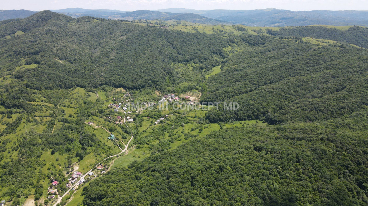Teren spectaculos cu padure, livada si priveliste panoramica in Soimari PH