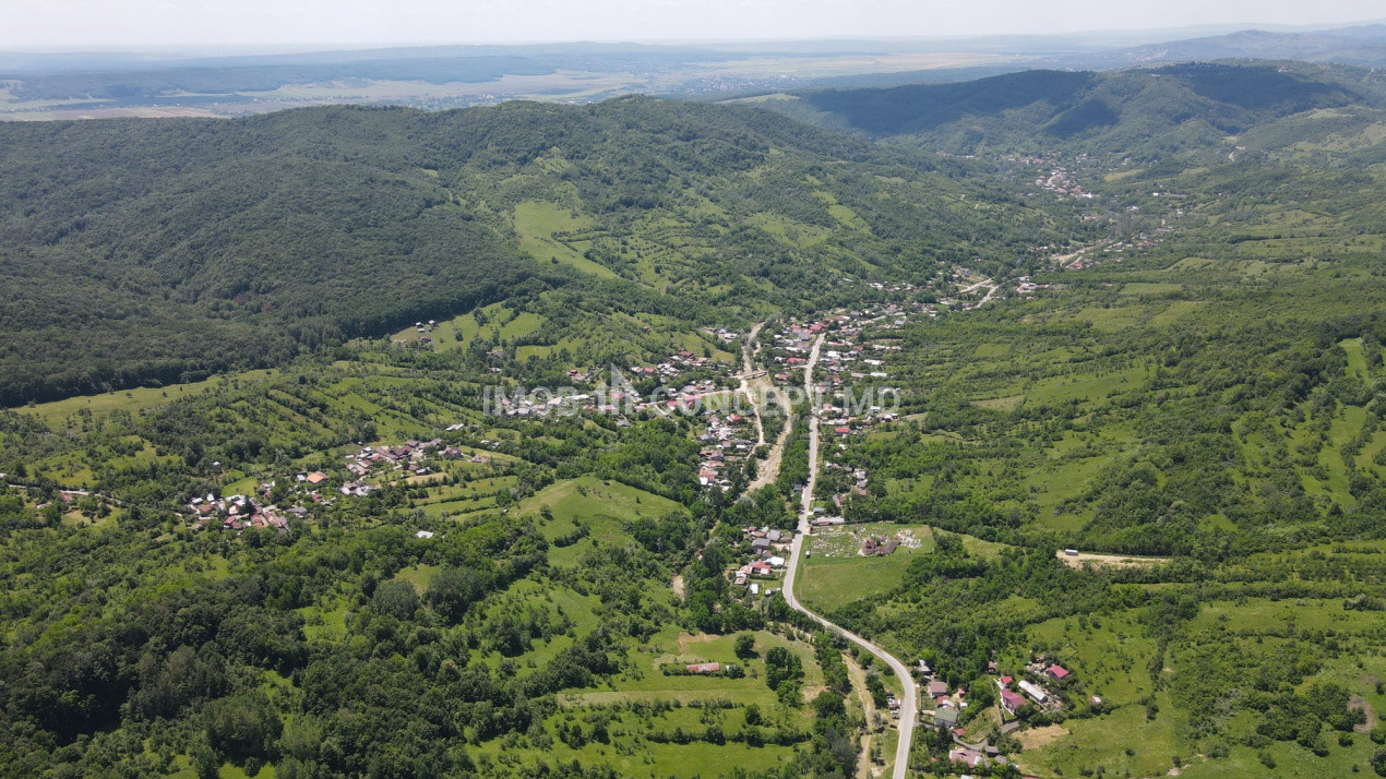 Teren spectaculos cu padure, livada si priveliste panoramica in Soimari PH