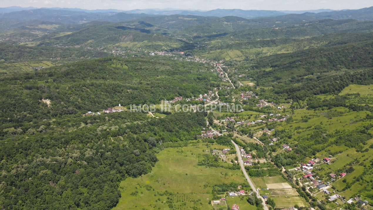 Teren spectaculos cu padure, livada si priveliste panoramica in Soimari PH