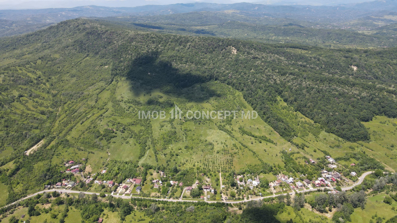 Teren spectaculos cu padure, livada si priveliste panoramica in Soimari PH