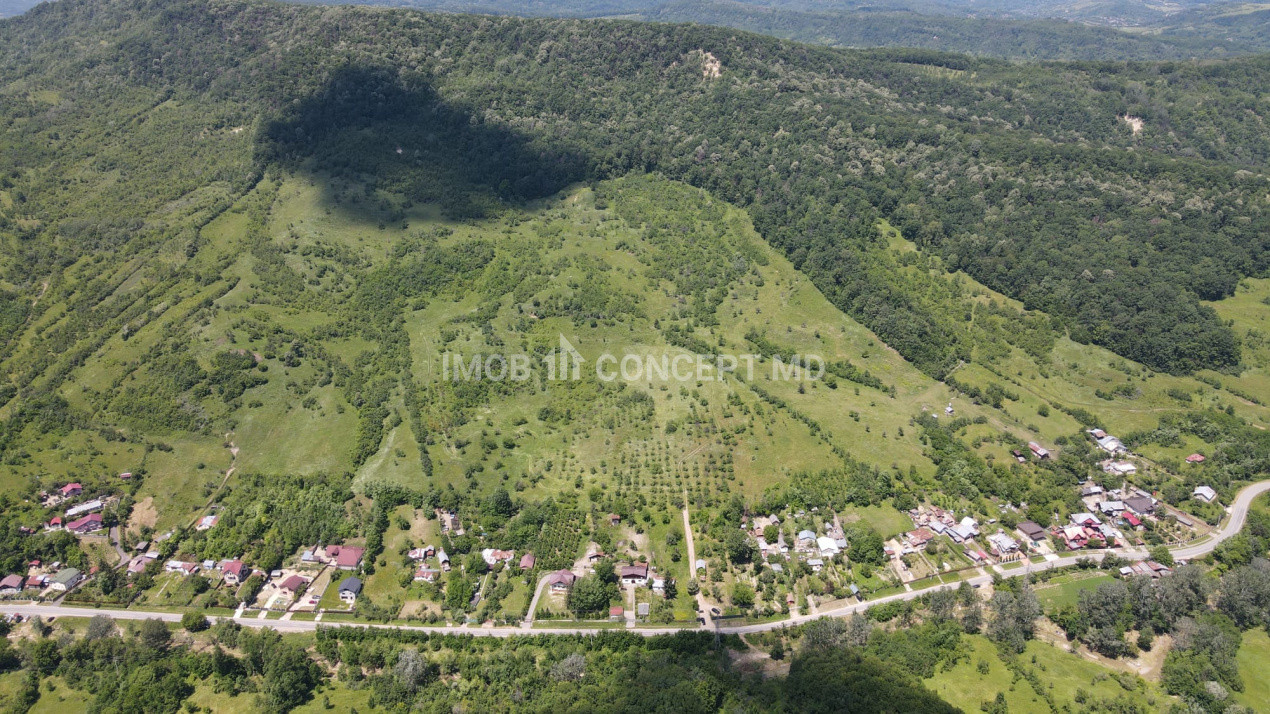 Teren spectaculos cu padure, livada si priveliste panoramica in Soimari PH