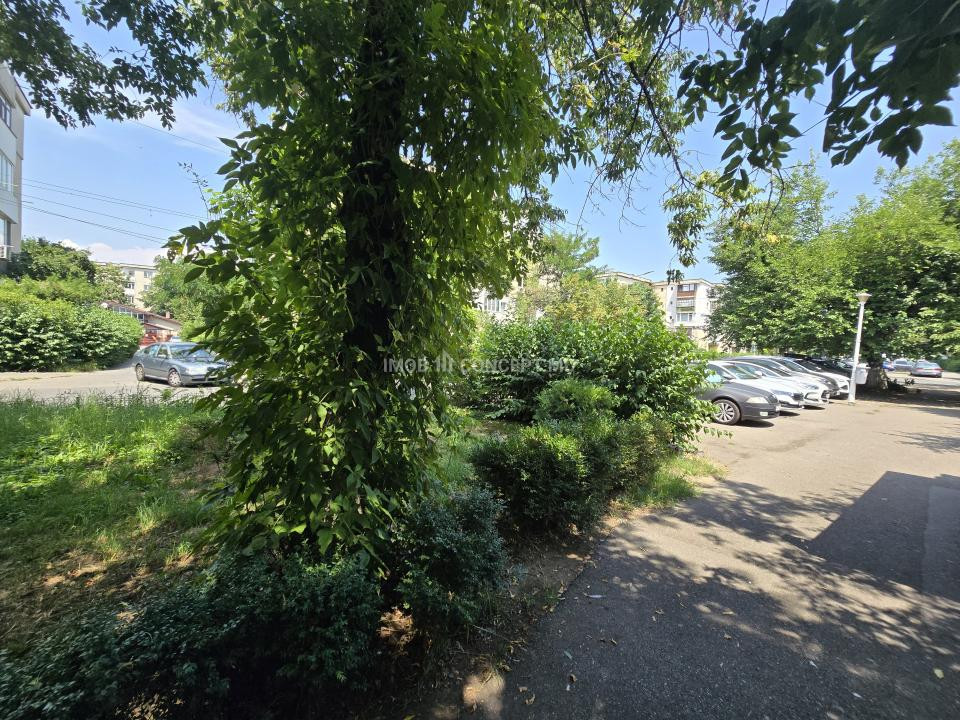 Apartament Ideal cu Două Camere, Preț Mic, Acte la Zi - Strada Domnișori
