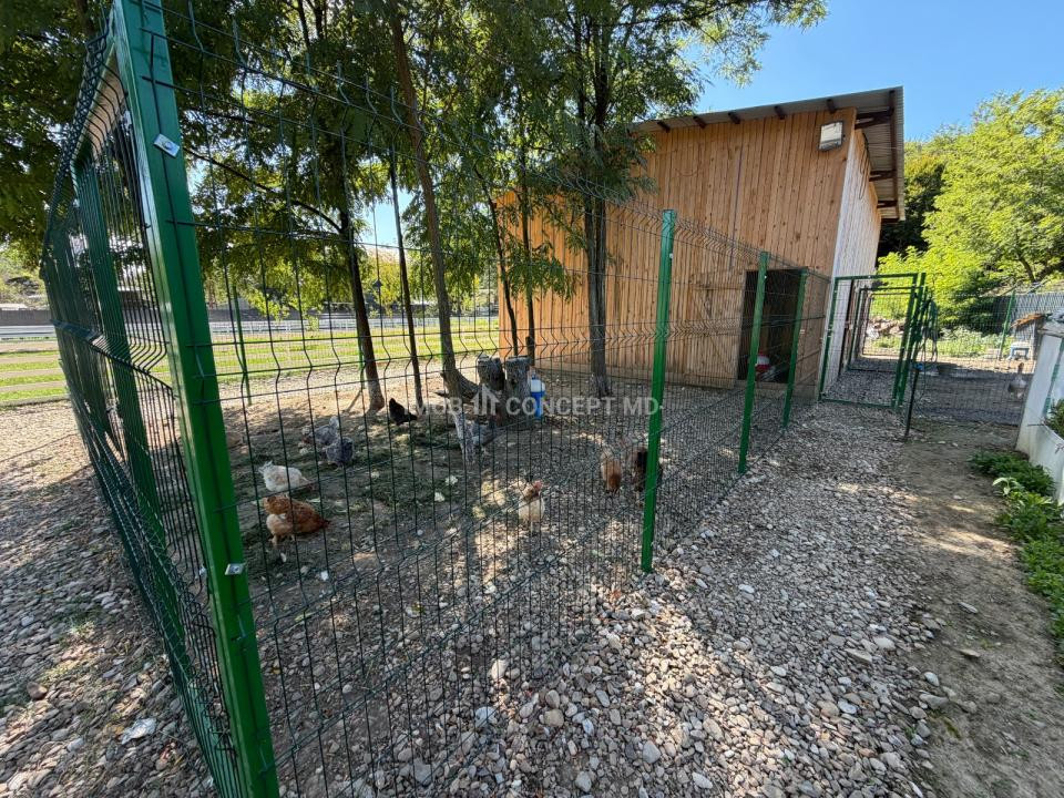 VANZARE Casa-vila cu teren generos si padure, Surani-Prahova