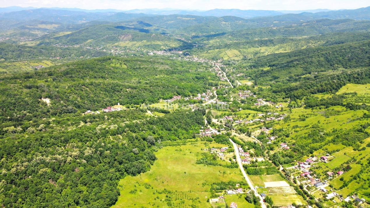 VANZARE Casa-vila cu teren generos si padure, Surani-Prahova