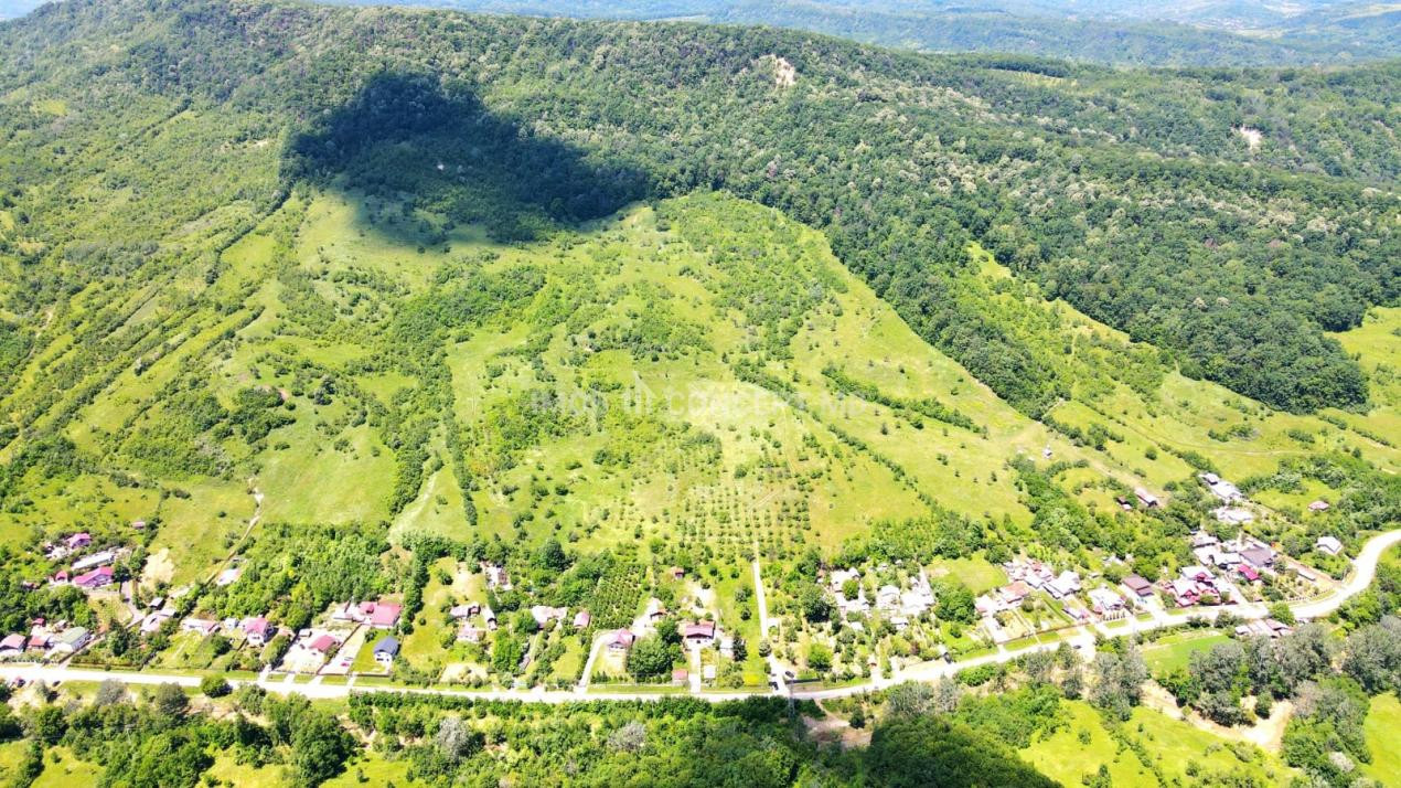 VANZARE Casa-vila cu teren generos si padure, Surani-Prahova