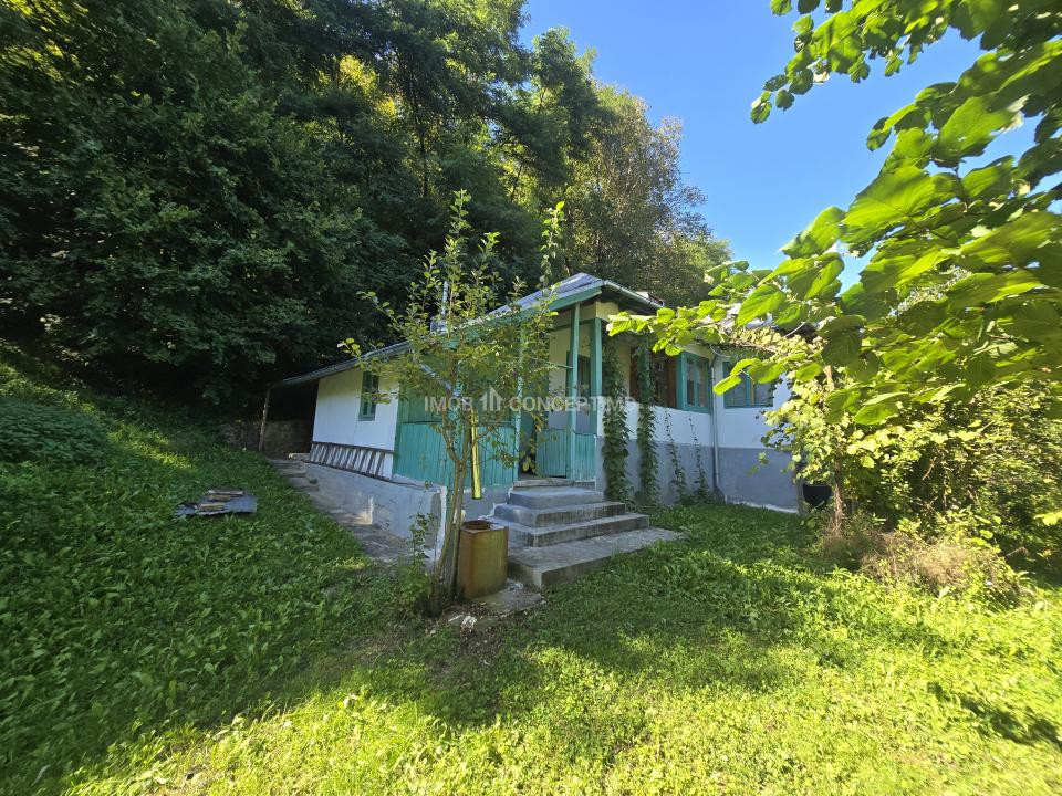 Vanzare Casuta pitoreasca la padure, teren 3159mp, in Gogeasca